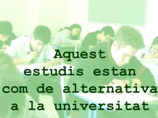 Aquest  estudis estan  com de alternativa  a la universitat   