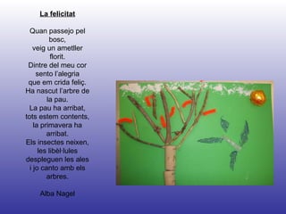 La felicitat Quan passejo pel bosc, veig un ametller florit. Dintre del meu cor sento l’alegria que em crida feliç. Ha nascut l’arbre de la pau. La pau ha arribat, tots estem contents, la primavera ha arribat. Els insectes neixen, les libèl·lules despleguen les ales i jo canto amb els arbres. Alba Nagel 