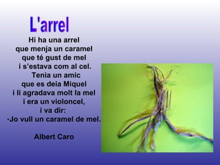 L'arrel Hi ha una arrel que menja un caramel que té gust de mel i s’estava com al cel. Tenia un amic que es deia Miquel i li agradava molt la mel i era un violoncel, i va dir:  Jo vull un caramel de mel. Albert Caro 