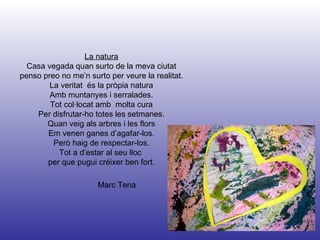 Marc Tena La natura Casa vegada quan surto de la meva ciutat penso preo no me’n surto per veure la realitat. La veritat  és la pròpia natura Amb muntanyes i serralades. Tot col·locat amb  molta cura Per disfrutar-ho totes les setmanes. Quan veig als arbres i les flors Em venen ganes d’agafar-los. Però haig de respectar-los. Tot a d’estar al seu lloc  per que pugui créixer ben fort. 