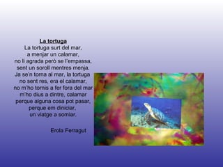 Erola Ferragut La tortuga La tortuga surt del mar, a menjar un calamar, no li agrada però se l’empassa, sent un soroll mentres menja. Ja se’n torna al mar, la tortuga  no sent res, era el calamar, no m’ho tornis a fer fora del mar m’ho dius a dintre, calamar perque alguna cosa pot pasar, perque em diniciar,  un viatge a somiar. 