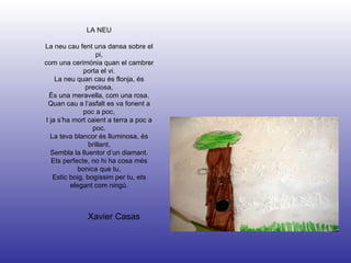 Xavier Casas LA NEU   La neu cau fent una dansa sobre el pi, com una cerimònia quan el cambrer porta el vi. La neu quan cau és flonja, és preciosa, És una meravella, com una rosa. Quan cau a l’asfalt es va fonent a poc a poc, I ja s’ha mort caient a terra a poc a poc. La teva blancor és lluminosa, és brillant, Sembla la lluentor d’un diamant. Ets perfecte, no hi ha cosa més bonica que tu, Estic boig, bogíssim per tu, ets elegant com ningú.     
