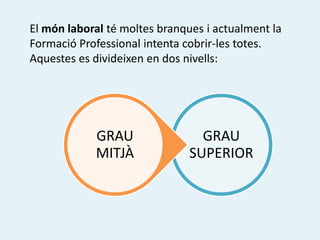 El món laboral té moltes branques i actualment la
Formació Professional intenta cobrir-les totes.
Aquestes es divideixen en dos nivells:




            GRAU                 GRAU
            MITJÀ              SUPERIOR
 