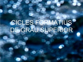 CICLES FORMATIUS
DE GRAU SUPERIOR
 