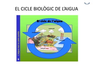 EL CICLE BIOLÒGIC DE L’AIGUA
 