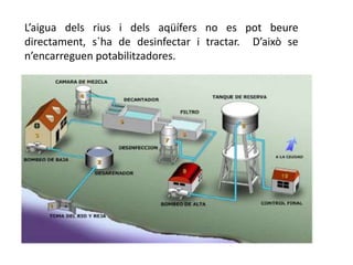 L’aigua dels rius i dels aqüífers no es pot beure
directament, s`ha de desinfectar i tractar. D’això se
n’encarreguen potabilitzadores.
 