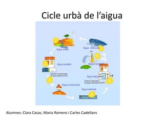 Cicle urbà de l’aigua
Alumnes: Clara Casas, Maria Romero i Carles Cadellans
 