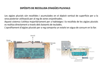 DIPÒSITS DE RECOLLIDA D’AIGÜES PLUVIALS
Les aigües pluvials són recollides i acumulades en el dipòsit vertical de superfície per a la
seva posterior utilització per al reg de zones enjardinades.
Aquest sistema s'utilitza majoritàriament per a habitatges i la recollida de les aigües pluvials
es realitza directament a través dels baixants de teulades.
L'aprofitament d'aigües pluvials per a reg comporta un estalvi en aigua de consum en la llar.
 