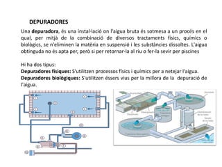 DEPURADORES
Una depuradora, és una instal·lació on l‘aigua bruta és sotmesa a un procés en el
qual, per mitjà de la combinació de diversos tractaments físics, químics o
biològics, se n'eliminen la matèria en suspensió i les substàncies dissoltes. L'aigua
obtinguda no és apta per, però si per retornar-la al riu o fer-la sevir per piscines
Hi ha dos tipus:
Depuradores físiques: S'utilitzen processos físics i químics per a netejar l'aigua.
Depuradores biològiques: S'utilitzen éssers vius per la millora de la depuració de
l'aigua.
 
