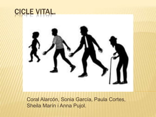 CICLE VITAL.
Coral Alarcón, Sonia García, Paula Cortes,
Sheila Marín i Anna Pujol.
 