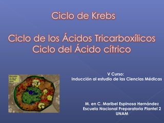 V Curso:
Inducción al estudio de las Ciencias Médicas




      M. en C. Maribel Espinosa Hernández
     Escuela Nacional Preparatoria Plantel 2
                     UNAM
 