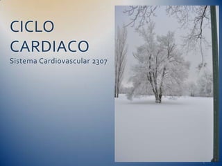 CICLO
CARDIACO
Sistema Cardiovascular 2307
 
