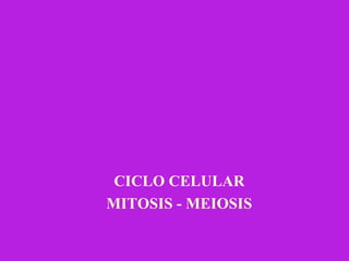CICLO CELULAR
MITOSIS - MEIOSIS
 
