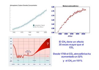 Metano atmosférico 
El CH4 tiene un efecto 
35 veces mayor que el 
CO2 
Desde 1750 el CO2 atmosférico ha 
aumentado un 32% 
y el CH4 un 151% 
 
