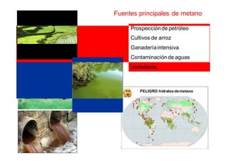 Fuentes principales de metano 
Prospección de petróleo 
Cultivos de arroz 
Ganadería intensiva 
Contaminación de aguas 
Vertederos 
PELIGRO:hidratos de metano 
 