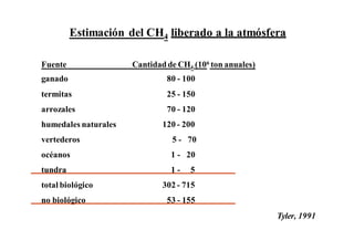 Estimación del CH4 liberado a la atmósfera 
Fuente Cantidad de CH4 (106 ton anuales) 
ganado 80 - 100 
termitas 25 - 150 
arrozales 70 - 120 
humedales naturales 120 - 200 
vertederos 5 - 70 
océanos 1 - 20 
tundra 1 - 5 
total biológico 302 - 715 
no biológico 53 - 155 
Tyler, 1991 
 