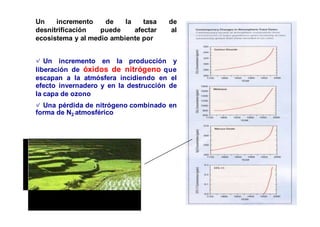 Un incremento de la tasa de 
desnitrificación puede afectar al 
ecosistema y al medio ambiente por 
✓ Un incremento en la producción y 
liberación de óxidos de nitrógeno que 
escapan a la atmósfera incidiendo en el 
efecto invernadero y en la destrucción de 
la capa de ozono 
✓ Una pérdida de nitrógeno combinado en 
forma de N2 atmosférico 
 