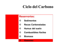 Ciclo del Carbono 
Reservorios: 
❖ Sedimentos 
❖ Rocas Carbonatadas 
❖ Humus del suelo 
❖ Combustibles fósiles 
❖ Biomasa 
❖ Gaseoso 
 