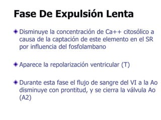 Fase De Expulsión Lenta
Disminuye la concentración de Ca++ citosólico a
causa de la captación de este elemento en el SR
por influencia del fosfolambano
Aparece la repolarización ventricular (T)
Durante esta fase el flujo de sangre del VI a la Ao
disminuye con prontitud, y se cierra la válvula Ao
(A2)
 