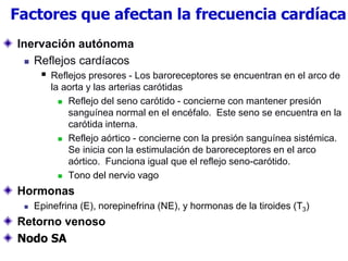 Inervación autónoma
 Reflejos cardíacos
 Reflejos presores - Los baroreceptores se encuentran en el arco de
la aorta y las arterias carótidas
 Reflejo del seno carótido - concierne con mantener presión
sanguínea normal en el encéfalo. Este seno se encuentra en la
carótida interna.
 Reflejo aórtico - concierne con la presión sanguínea sistémica.
Se inicia con la estimulación de baroreceptores en el arco
aórtico. Funciona igual que el reflejo seno-carótido.
 Tono del nervio vago
Hormonas
 Epinefrina (E), norepinefrina (NE), y hormonas de la tiroides (T3)
Retorno venoso
Nodo SA
Factores que afectan la frecuencia cardíaca
 