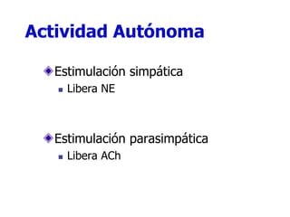 Estimulación simpática
 Libera NE
Estimulación parasimpática
 Libera ACh
Actividad Autónoma
 
