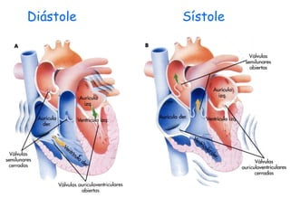 Diástole Sístole
 