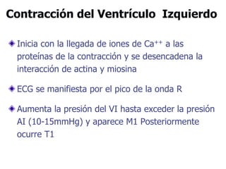 Contracción del Ventrículo Izquierdo
Inicia con la llegada de iones de Ca++ a las
proteínas de la contracción y se desencadena la
interacción de actina y miosina
ECG se manifiesta por el pico de la onda R
Aumenta la presión del VI hasta exceder la presión
AI (10-15mmHg) y aparece M1 Posteriormente
ocurre T1
 