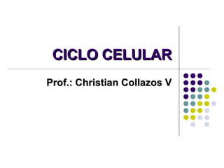 CICLO CELULAR Prof.: Christian Collazos V 