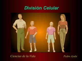 D ivisión  Celular   Ciencias de la Vida   Pedro Ayala 