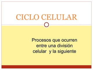 CICLO CELULAR
Procesos que ocurren
entre una división
celular y la siguiente
 