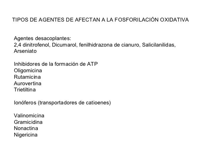 Ciclo crebs-cadena-transporte-electrones Ciclo crebs-cadena-transporte-electrones