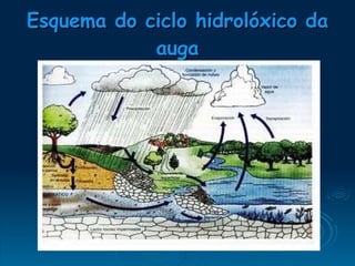 Esquema do ciclo hidrolóxico da auga 