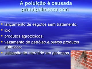 A poluição é causada principalmente por:  lançamento de esgotos sem tratamento;  lixo;  produtos agrotóxicos;  vazamento de petróleo e outros produtos químicos;  utilização de mercúrio em garimpos.  