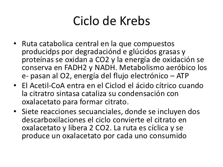 Ciclo De Krebs
