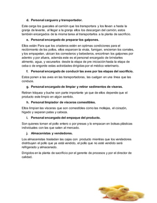 d. Personal carguero y transportador.
Este carga los guacales al camión que los transportara y los llevan a hasta la
granja de levante, al llegar a la granja ellos los descargan del camión, estos
también encargados de la misma tarea al transportarlos a la planta de sacrificio.
e. Personal encargado de preparar los galpones.
Ellos están Para que los criaderos estén en optimas condiciones para el
recibimiento de los pollos, ellos esparcen la viruta, fumigan, encierran los corrales,
y los empapelan, ubican los comederos y bebederos, encortinan los galpones por
adentro y por afuera, además este es el personal encargado de brindarles
alimento, agua, y vacunarlos desde la etapa de pre iniciación hasta la etapa de
ceba o de engorde estas actividades dirigidas por el médico veterinario.
f. Personal encargado de conducir las aves por las etapas del sacrificio.
Estos ponen a las aves en las transportadoras, las cuelgan en una línea que las
conduce.
g. Personal encargado de limpiar y retirar sedimentos de viseras.
Retiran tráquea y buche son parte importante ya que de ellos depende que el
producto este limpio en algún sentido.
h. Personal limpiador de vísceras comestibles.
Ellos limpian las vísceras que son comestibles como las mollejas, el corazón,
hígado y separan patas y cabeza.
i. Personal encargado del empaque del producto.
Son quienes toman el pollo entero o por presas y lo empacan en bolsas plásticas
individuales con las que salen al mercado.
j. Almacenistas y vendedores.
Los almacenistas trasladan las cajas con producto mientras que los vendedores
distribuyen el pollo que ya está vendido, el pollo que no esté vendido será
refrigerado y almacenado.
Dirigidos en la planta de sacrificio por el gerente de procesos y por el director de
calidad.
 