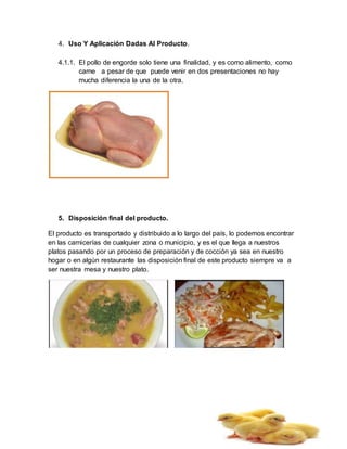4. Uso Y Aplicación Dadas Al Producto.
4.1.1. El pollo de engorde solo tiene una finalidad, y es como alimento, como
carne a pesar de que puede venir en dos presentaciones no hay
mucha diferencia la una de la otra.
5. Disposición final del producto.
El producto es transportado y distribuido a lo largo del país, lo podemos encontrar
en las carnicerías de cualquier zona o municipio, y es el que llega a nuestros
platos pasando por un proceso de preparación y de cocción ya sea en nuestro
hogar o en algún restaurante las disposición final de este producto siempre va a
ser nuestra mesa y nuestro plato.
 
