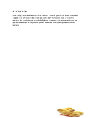 INTRODUCCION.
Este trabajo está realizado con el fin de dar a conocer que ocurre en las diferentes
etapas en la producción de pollos los cuales son destinados para el consumo
humano, las practicas que en este trabajo se muestran muy seguramente son las
que se realizan en la mayoría de países donde se crían pollos para el consumo
humano.
 