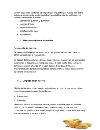 Existen exigencias sanitarias a la importación impuestas por nuestro país sobre
todo en lo concerniente a enfermedades transmisibles a través del huevo, los
planteles deben estar libres de:
 Salmonellas pullorum y gallinarum
 Leucosis linfoide
 Temblor epidémico
 Encefalomielitis aviar
 Mycoplasma
1.1.1. Selección de huevos incubables.
Recolección de huevos.
Se recolectan los huevos de las zonas en las que las aves reproductoras los
ponen se recolectan 3 veces al día..
En épocas de temperaturas extremas (calor intenso o mucho frío), es aconsejable
incrementar la frecuencia de recogida a cinco. Si hace mucho calor y el huevo
permanece excesivo tiempo en el lugar, pueden tener lugar divisiones
embrionarias, con consecuencias fatales para el embrión, ya que luego el huevo
se enfriará en el almacén.
1.1.2. Limpieza de los huevos.
El tratamiento de un huevo algo sucio (insistimos en que los muy sucios deben
desecharse) puede hacerse de dos formas:
 Por raspado;
 Por lavado.
El raspado tiene el inconveniente de que, si bien elimina la suciedad, también
daña la cutícula exterior del huevo, exponiendo el interior a una más fácil
contaminación posterior, a un mayor riesgo de "explosión" durante la incubación y
a un descenso en la tasa de eclosión.
 
