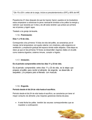 * De 15 a 20 h. antes de la carga, iniciar un precalentamiento a 20ºC y 80% de HR
Pasados los 21 días después de que los huevos fueron puestos en la incubadora
estos empezaran a eclosionar la yema residual le brindara a los pollos la energía y
nutrición que necesita por 3 días y de allí estos tendrán que probar por primera
vez el pienso y ingerir agua.
Traslado a la granja de levante.
1.1.6. Preiniciación
Días 1 a 10 de vida.
Corresponde a los primeros 10 días de vida del pollito, se caracteriza por el
manejo de la temperatura con ayuda externa con criadoras y alta exigencia en
ventilación y ampliación gradual del espacio donde están alojados. Esta etapa es
clave ya que en las primeras 72 horas se desarrollan órganos vitales en el pollo
como sistema digestivo, sistema inmune, corazón e hígado.
1.1.7. Iniciación.
Es el periodo comprendido entre los días 11 y 23 de vida.
Es el periodo comprendido entre días 11 y 23 de vida, es la etapa que
prepara al pollito para recibir el alimento de engorde, se desarrolla el
esqueleto y lo prepara para el llenado con musculo.
1.1.8. Engorde.
Periodo desde el día 24 de vida hasta el sacrificio.
Periodo desde el día 24 de vida hasta el sacrificio, se caracteriza por tener el
mayor consumo de alimento y las mayores ganancias diarias de peso.
 A esta fecha los pollos tendrán las vacunas correspondientes que se
muestran a continuación:
 