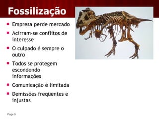 Ciclo De Vida Das Empresas - Aula 6