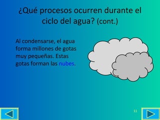 ¿Qué procesos ocurren durante el
ciclo del agua? (cont.)
Al condensarse, el agua
forma millones de gotas
muy pequeñas. Estas
gotas forman las nubes.
11
 