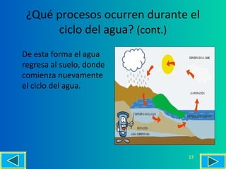 ¿Qué procesos ocurren durante el
ciclo del agua? (cont.)
De esta forma el agua
regresa al suelo, donde
comienza nuevamente
el ciclo del agua.
13
 