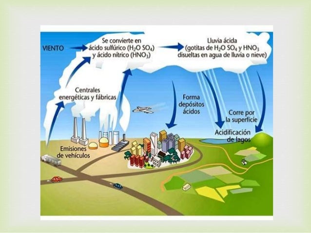 Ciclo del azufre