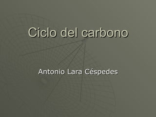 Ciclo del carbono Antonio Lara Céspedes 