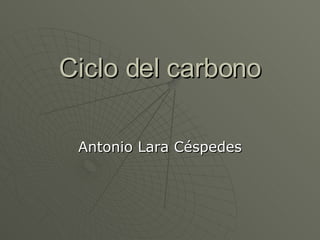 Ciclo del carbono Antonio Lara Céspedes 