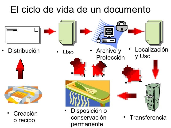 Ciclo Del Documento2