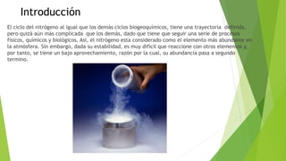 Introducción
El ciclo del nitrógeno al igual que los demás ciclos biogeoquímicos, tiene una trayectoria definida,
pero quizá aún más complicada que los demás, dado que tiene que seguir una serie de procesos
físicos, químicos y biológicos. Así, el nitrógeno esta considerado como el elemento más abundante en
la atmósfera. Sin embargo, dada su estabilidad, es muy difícil que reaccione con otros elementos y,
por tanto, se tiene un bajo aprovechamiento, razón por la cual, su abundancia pasa a segundo
termino.
 