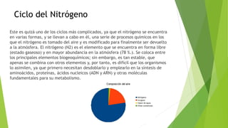Ciclo del Nitrógeno
Este es quizá uno de los ciclos más complicados, ya que el nitrógeno se encuentra
en varias formas, y se llevan a cabo en él, una serie de procesos químicos en los
que el nitrógeno es tomado del aire y es modificado para finalmente ser devuelto
a la atmósfera. El nitrógeno (N2) es el elemento que se encuentra en forma libre
(estado gaseoso) y en mayor abundancia en la atmósfera (78 %.). Se coloca entre
los principales elementos biogeoquímicos; sin embargo, es tan estable, que
apenas se combina con otros elementos y, por tanto, es difícil que los organismos
lo asimilen, ya que primero necesitan desdoblarlo y emplearlo en la síntesis de
aminoácidos, proteínas, ácidos nucleicos (ADN y ARN) y otras moléculas
fundamentales para su metabolismo.
 