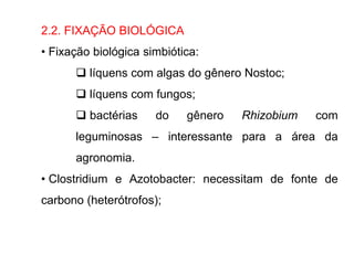 2.2. FIXAÇÃO BIOLÓGICA
• Fixação biológica simbiótica:
 líquens com algas do gênero Nostoc;
 líquens com fungos;
 bactérias do gênero Rhizobium com
leguminosas – interessante para a área da
agronomia.
• Clostridium e Azotobacter: necessitam de fonte de
carbono (heterótrofos);
 