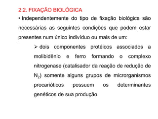 2.2. FIXAÇÃO BIOLÓGICA
• Independentemente do tipo de fixação biológica são
necessárias as seguintes condições que podem estar
presentes num único indivíduo ou mais de um:
 dois componentes protéicos associados a
molibidênio e ferro formando o complexo
nitrogenase (catalisador da reação de redução de
N2) somente alguns grupos de microrganismos
procarióticos possuem os determinantes
genéticos de sua produção.
 